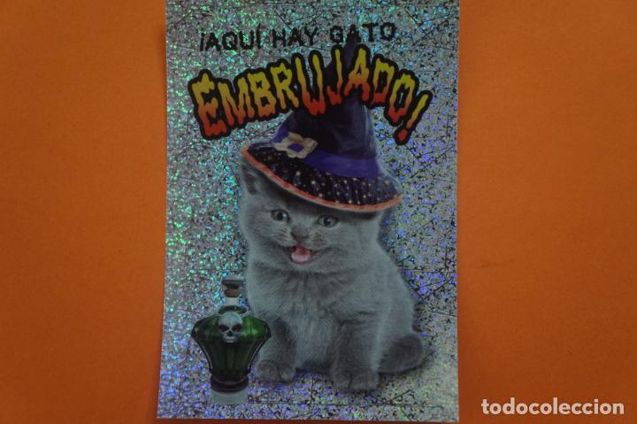 Coleccionismo Cromos antiguos: CROMO DE ANIMALITOS CUCCIOLOTTI SIN PEGAR N&ordm; 483 A&Ntilde;O 2017 DEL ALBUM ANIMALITOS CUCCIOLOTTI DE PANINI
