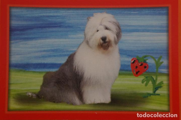 Coleccionismo Cromos antiguos: CROMO DE ANIMALITOS CUCCIOLOTTI SIN PEGAR N&ordm; 513 A&Ntilde;O 2017 DEL ALBUM ANIMALITOS CUCCIOLOTTI DE PANINI