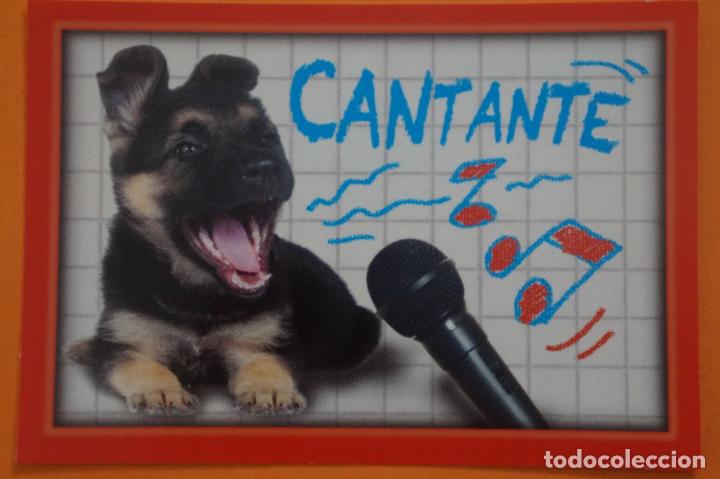 Coleccionismo Cromos antiguos: CROMO DE ANIMALITOS CUCCIOLOTTI SIN PEGAR N&ordm; 523 A&Ntilde;O 2017 DEL ALBUM ANIMALITOS CUCCIOLOTTI DE PANINI