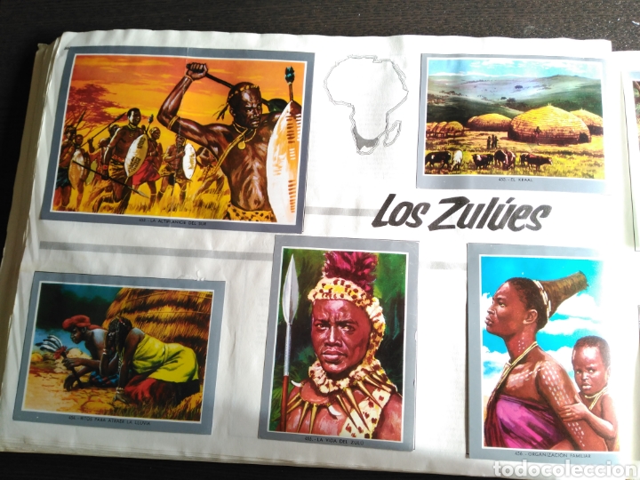 Coleccionismo cromos antiguos: Vida y color 2. Lote cromos sueltos - Foto 2