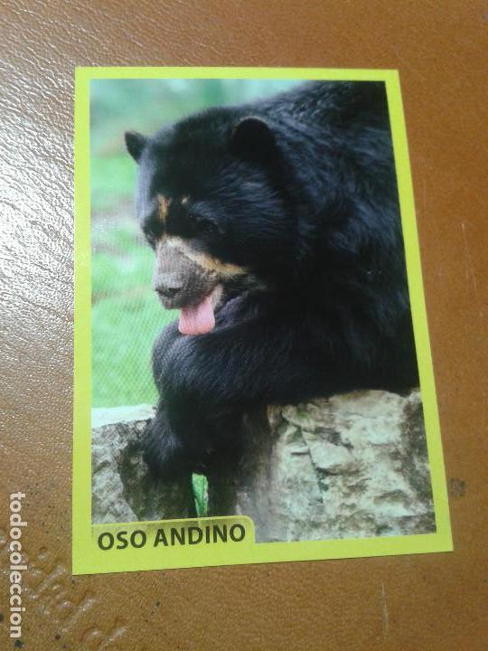 Collezionismo Figurine antiche: CROMO DE LA COLECCION: AMICI CUCCIOLOTTI ANIMALITOS. PANINI. A&Ntilde;O 2015. SIN PEGAR. N&ordm; 235