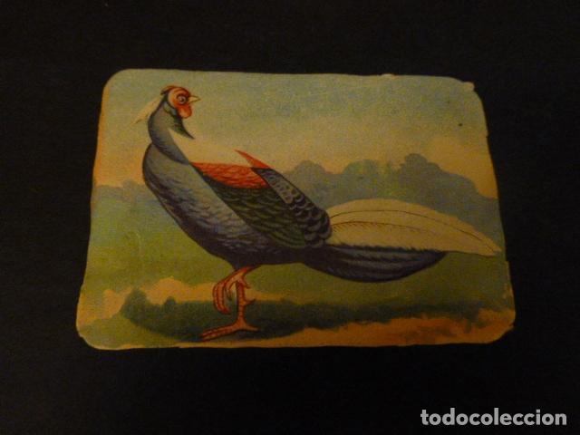 Coleccionismo cromos antiguos: AVE CROMO SIGLO XIX - Foto 1