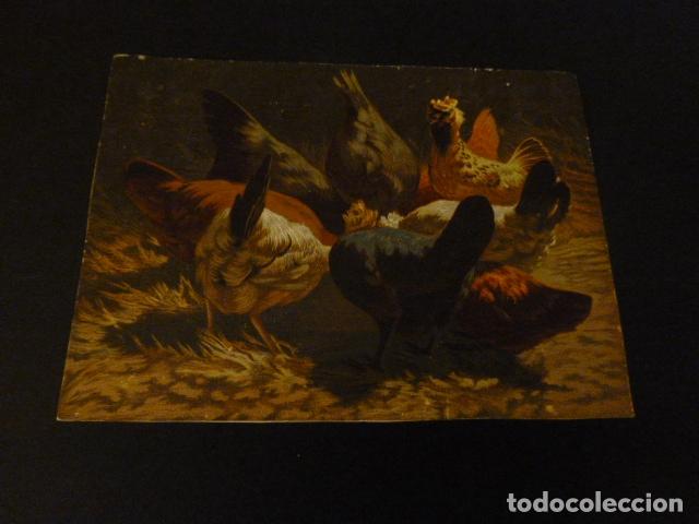 Coleccionismo cromos antiguos: GALLINAS CROMO SIGLO XIX - Foto 1