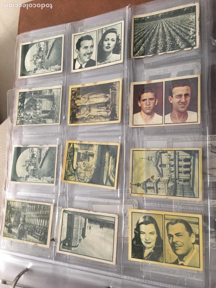 Collectionnisme Cartes &agrave; collectionner anciennes: 12 cromos variados &aacute;lbum gallina blanca