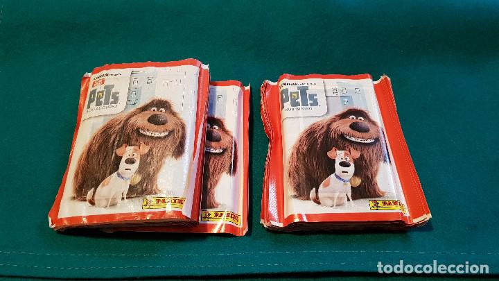 Collezionismo Figurine antiche: 27 SOBRES DE CROMOS ADHESIVOS PETS PANINI