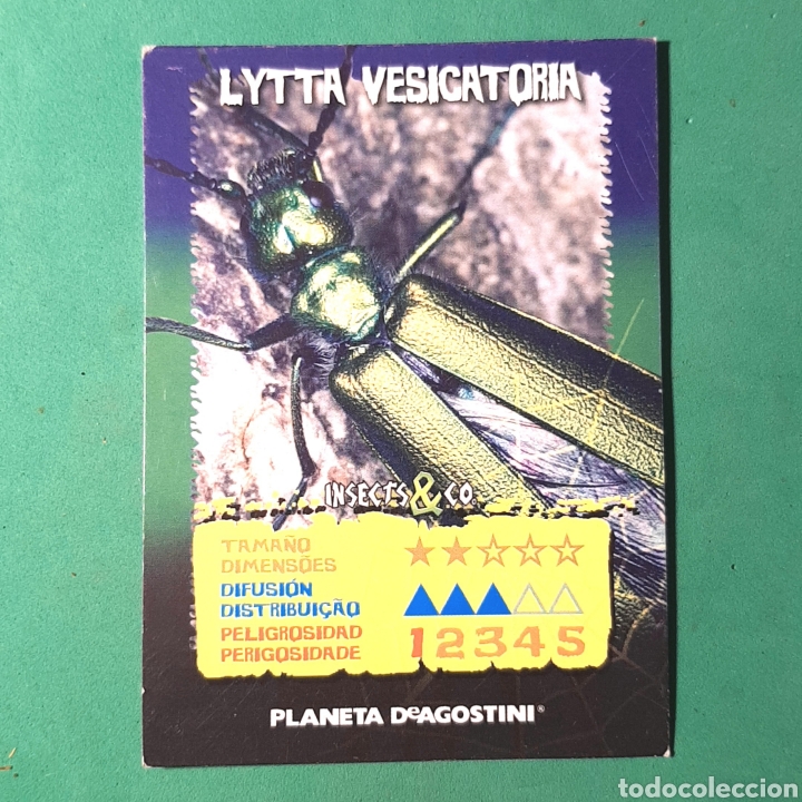 Sammeln alte Sammelbilder: (C-IVZ.01) CARTA COLECCION - INSECTS & CO. DE PLANETA DeAGOSTINI - LYTTA VESICATORIA
