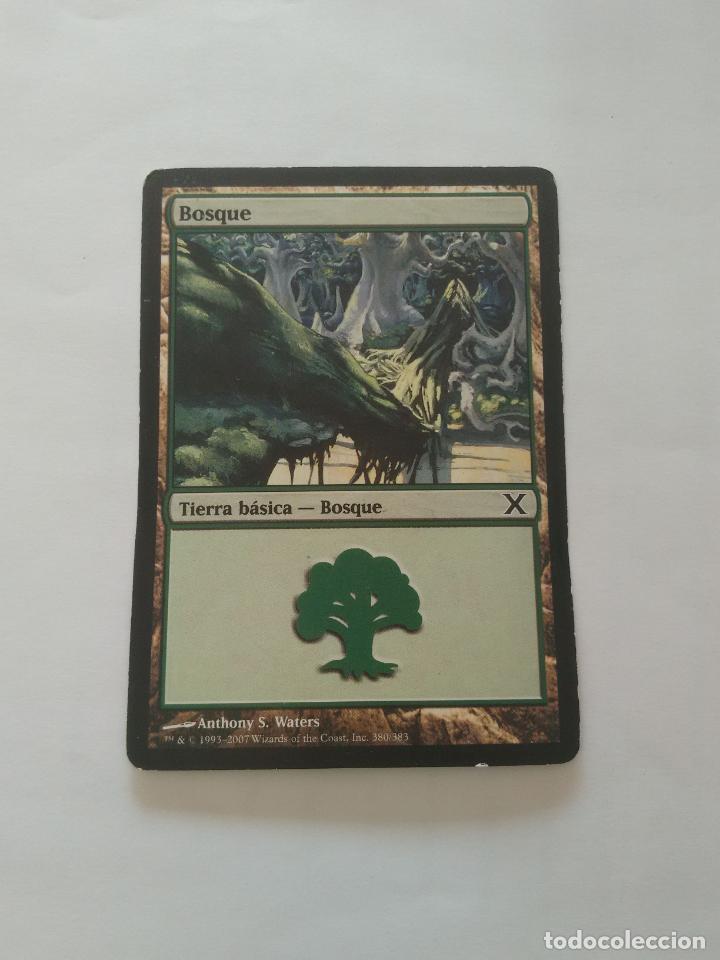 Coleccionismo cromos antiguos: CARTA MAGIC THE GATHERING DECKMASTER - TIERRA B&Aacute;SICA: BOSQUE - Foto 1