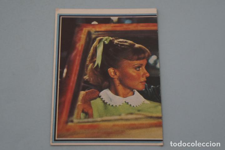 Coleccionismo Cromos antiguos: CROMO DE ARTISTA CANTANTE DE GREASE SIN PEGAR N&ordm; 176 A&Ntilde;O 1978 DEL ALBUM TELESTARS DE ESTE