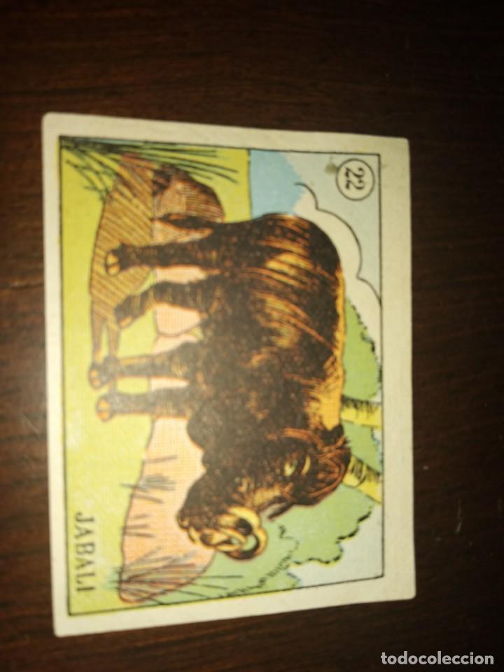 Coleccionismo cromos antiguos: JABALI 22 - Foto 1