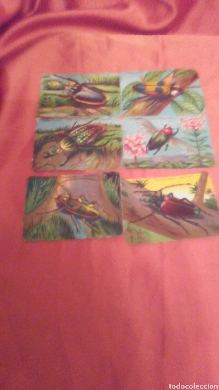 Coleccionismo cromos antiguos: Lote cromos la Primitiva Indiana - Foto 1