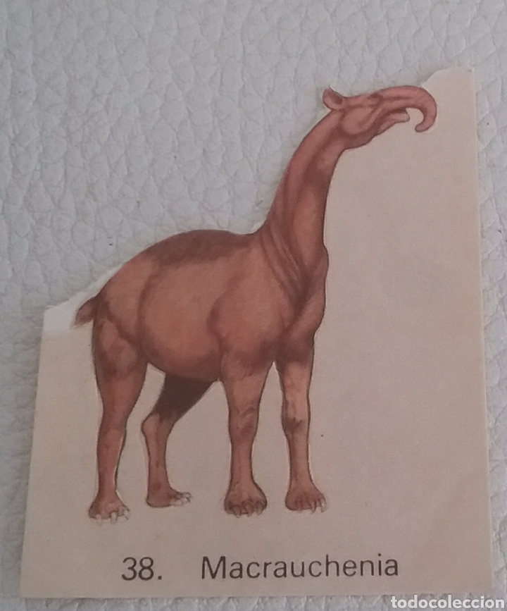 Coleccionismo Cromos antiguos: CROMO de la colecci&oacute;n GRANDES ANIMALES DE LA PREHISTORIA de ORTIZ n.38