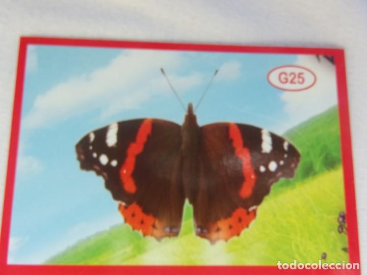 Coleccionismo cromos antiguos: AMICI CUCCIOLOTTI PANINI A&Ntilde;O 2015 NUM G25 - Foto 1
