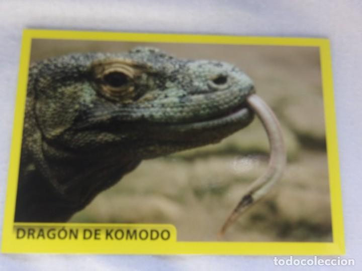 Coleccionismo cromos antiguos: AMICI CUCCIOLOTTI PANINI A&Ntilde;O 2015 NUM 92 - Foto 1