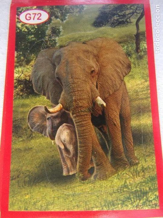 Coleccionismo cromos antiguos: AMICI CUCCIOLOTTI PANINI A&Ntilde;O 2015 NUM G72 - Foto 1