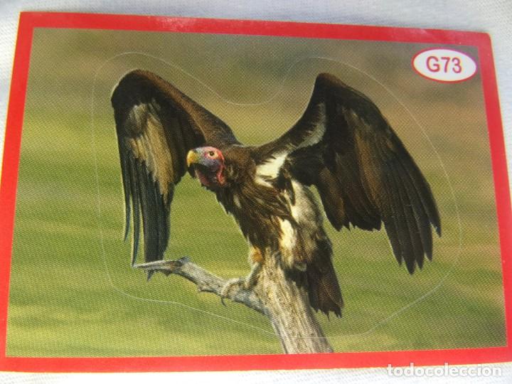 Coleccionismo cromos antiguos: AMICI CUCCIOLOTTI PANINI A&Ntilde;O 2015 NUM G73 - Foto 1