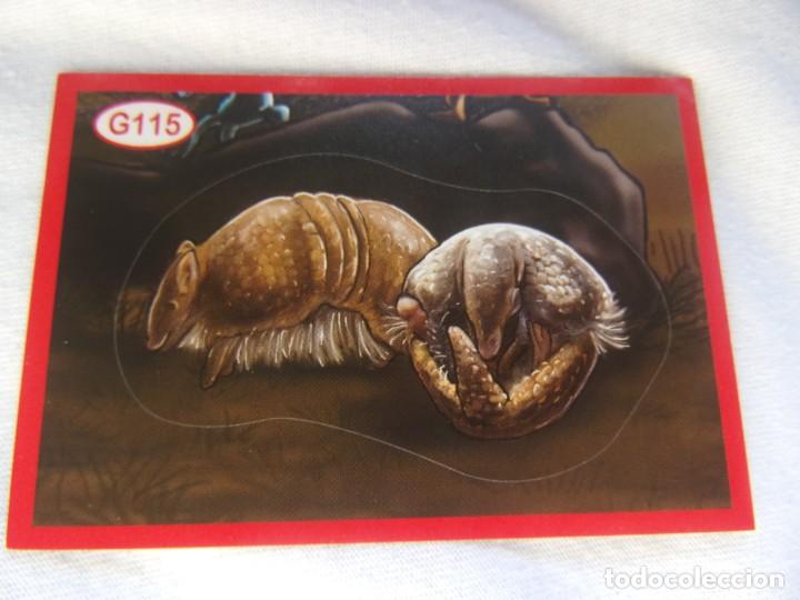 Coleccionismo cromos antiguos: AMICI CUCCIOLOTTI PANINI A&Ntilde;O 2015 NUM G115 - Foto 1