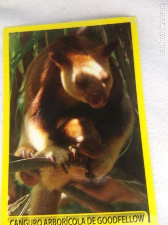 Coleccionismo cromos antiguos: AMICI CUCCIOLOTTI PANINI A&Ntilde;O 2015 NUM 128 - Foto 1
