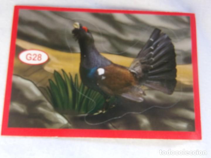 Coleccionismo cromos antiguos: AMICI CUCCIOLOTTI PANINI A&Ntilde;O 2015 NUM G28 - Foto 1