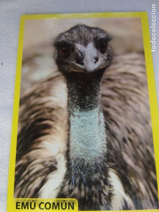 Coleccionismo cromos antiguos: AMICI CUCCIOLOTTI PANINI A&Ntilde;O 2015 NUM 125 - Foto 1