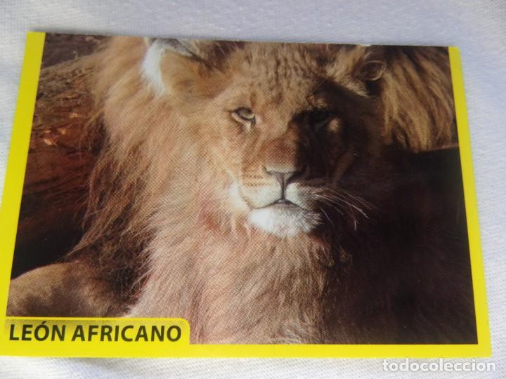 Coleccionismo cromos antiguos: AMICI CUCCIOLOTTI PANINI A&Ntilde;O 2015 NUM 138 - Foto 1