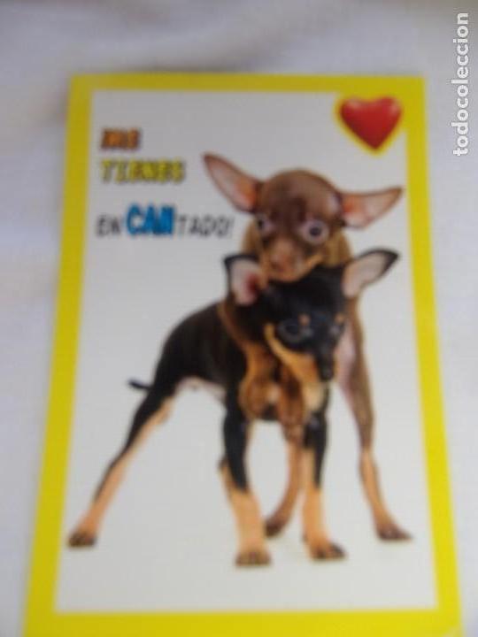 Coleccionismo cromos antiguos: AMICI CUCCIOLOTTI PANINI A&Ntilde;O 2015 NUM 34 - Foto 1