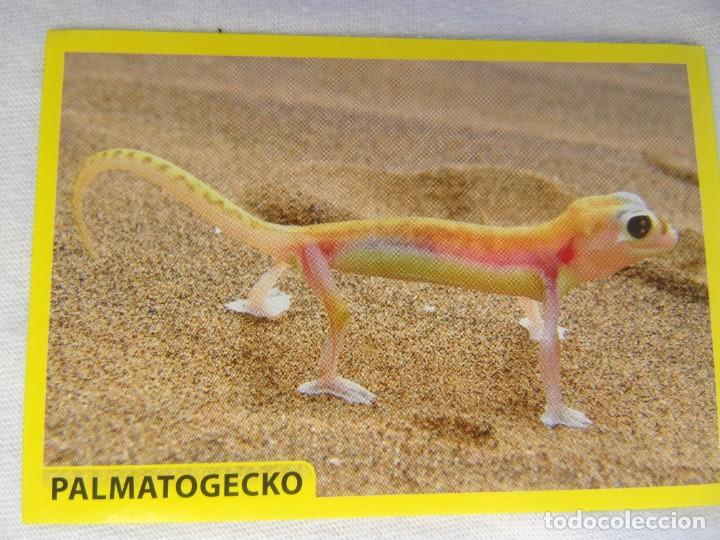 Coleccionismo cromos antiguos: AMICI CUCCIOLOTTI PANINI A&Ntilde;O 2015 NUM 146 - Foto 1