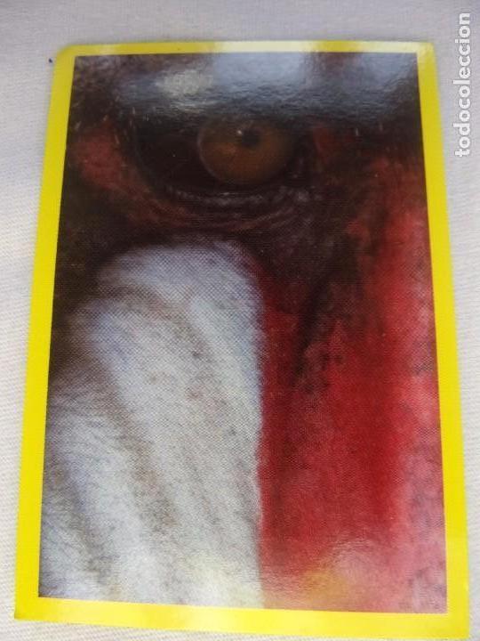 Coleccionismo cromos antiguos: AMICI CUCCIOLOTTI PANINI A&Ntilde;O 2015 NUM 263 - Foto 1