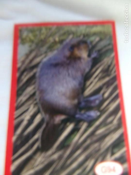 Coleccionismo cromos antiguos: AMICI CUCCIOLOTTI PANINI A&Ntilde;O 2015 NUM G94 - Foto 1