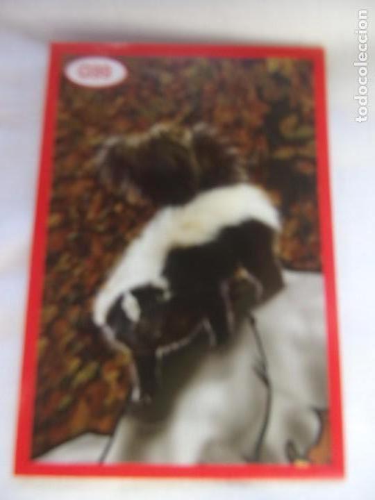 Coleccionismo cromos antiguos: AMICI CUCCIOLOTTI PANINI A&Ntilde;O 2015 NUM G99 - Foto 1