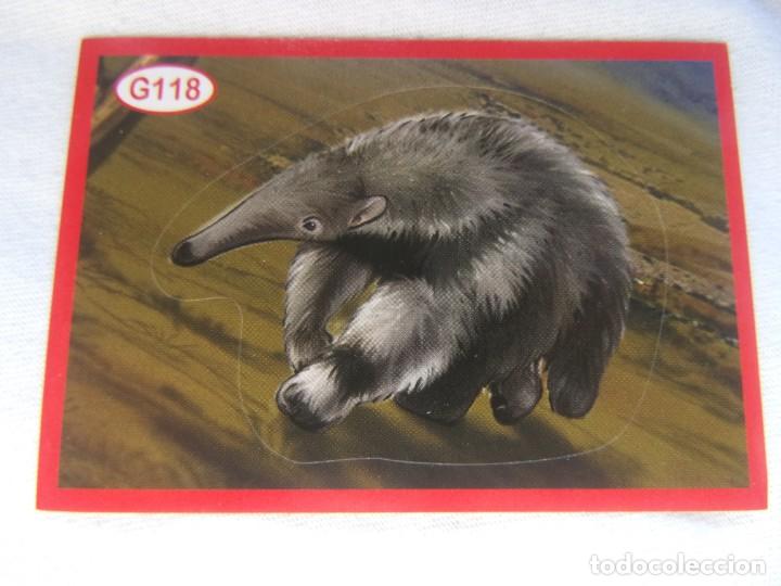 Coleccionismo cromos antiguos: AMICI CUCCIOLOTTI PANINI A&Ntilde;O 2015 NUM G118 - Foto 1