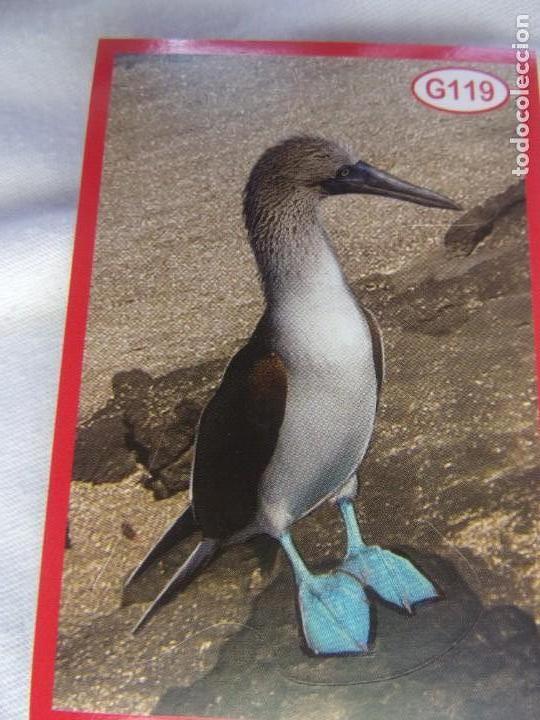 Coleccionismo cromos antiguos: AMICI CUCCIOLOTTI PANINI A&Ntilde;O 2015 NUM G119 - Foto 1