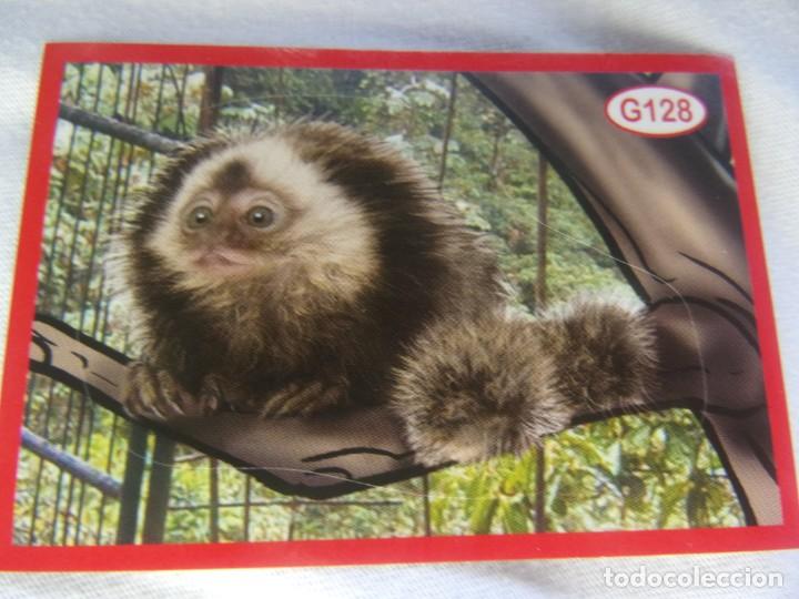 Coleccionismo cromos antiguos: AMICI CUCCIOLOTTI PANINI A&Ntilde;O 2015 NUM G128 - Foto 1