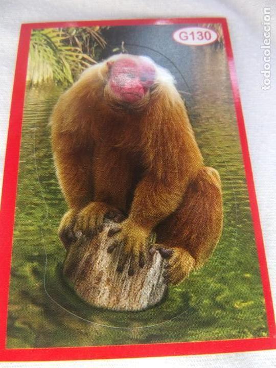Coleccionismo cromos antiguos: AMICI CUCCIOLOTTI PANINI A&Ntilde;O 2015 NUM G130 - Foto 1
