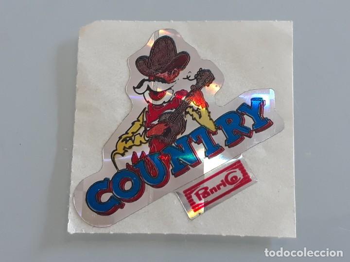 Collezionismo Figurine antiche: ANTIGUO CROMO ADHESIVO TROQUELADO DE PANRICO - COUNTRY - A&Ntilde;OS 80 SIN PEGAR