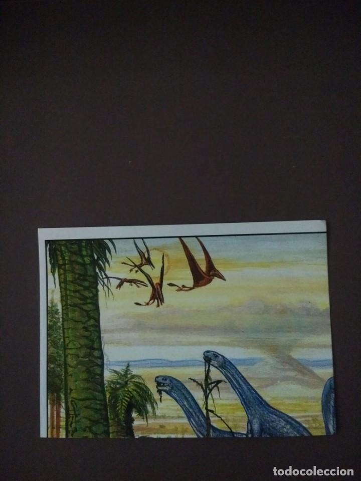 Coleccionismo cromos antiguos: CROMO PANINI &laquo;DINOGAME&raquo; N&ordm; 24 - Foto 1