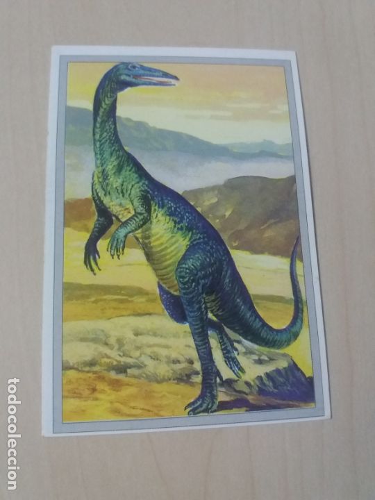 Coleccionismo cromos antiguos: N&ordm; 53 - CROMO CARTAS TRADING CARDS DINOSAURIOS DE 101 - NUEVO SIN PEGAR -