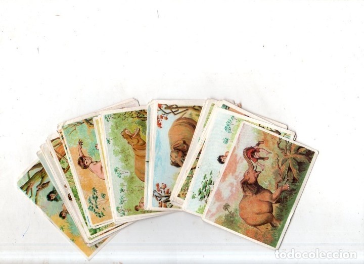 Collectionnisme Cartes &agrave; collectionner anciennes: CROMOS DEL ALBUM AVENTURAS DE JORGE. EL PEQUE&Ntilde;O TARZAN. LOTE DE 32 CROMOS. ED. COSTA. DIFERENTES.VER