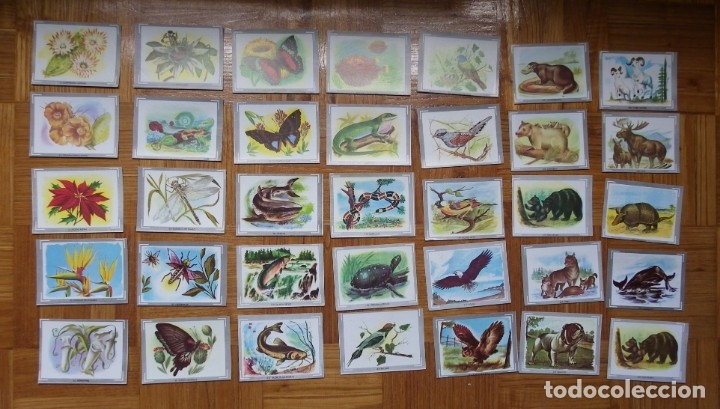 Coleccionismo cromos antiguos: LOTE 35 CROMOS VIDA Y COLOR - Foto 1
