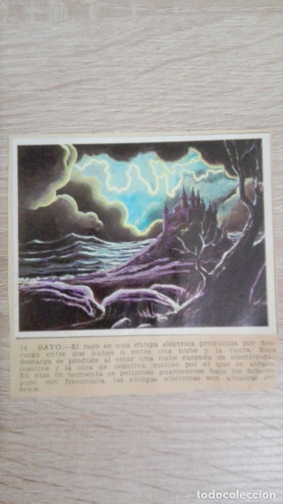 Sammeln alte Sammelbilder: CROMO N&ordm; 14 RAYO-&Aacute;LBUM MAGA-A&Ntilde;O 1967-LA NATURALEZA Y EL HOMBRE.