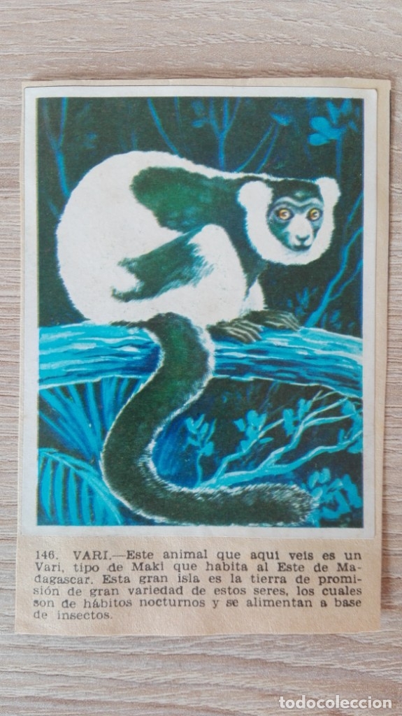 Sammeln alte Sammelbilder: CROMO N&ordm; 146-VARI-&Aacute;LBUM MAGA-A&Ntilde;O 1967-LA NATURALEZA Y EL HOMBRE.