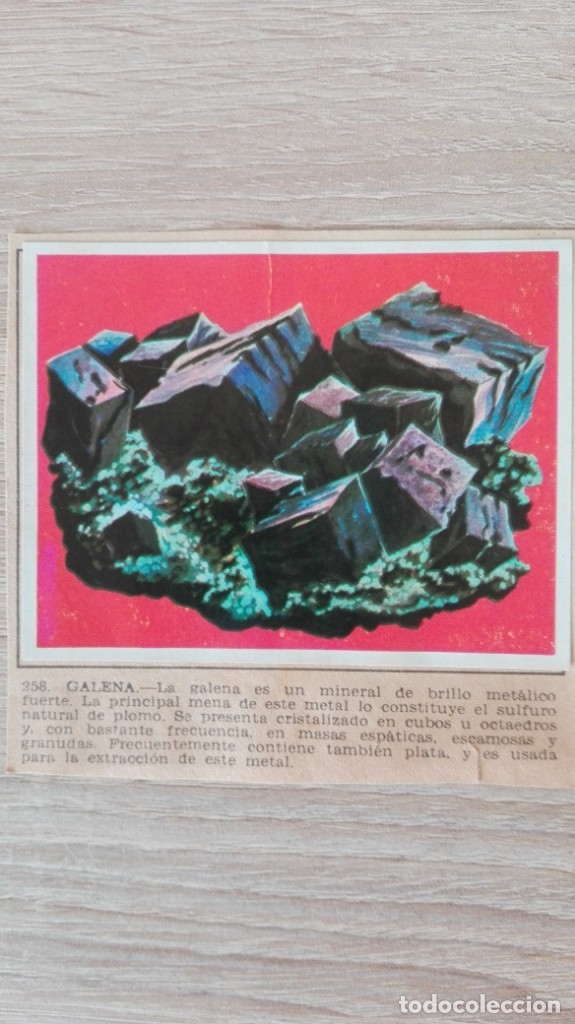Sammeln alte Sammelbilder: CROMO N&ordm; 258 GALENA-&Aacute;LBUM MAGA-A&Ntilde;O 1967-LA NATURALEZA Y EL HOMBRE.