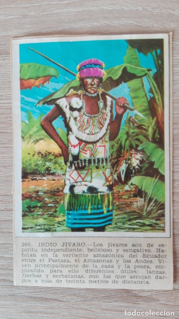 Sammeln alte Sammelbilder: CROMO N&ordm; 269 INDIO J&Iacute;VARO-&Aacute;LBUM MAGA-A&Ntilde;O 1967-LA NATURALEZA Y EL HOMBRE.