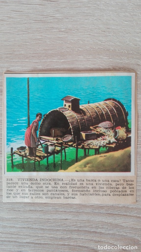 Colecionismo Cromos antigos: CROMO N&ordm; 318 VIVIENDA INDOCHINA-&Aacute;LBUM MAGA-A&Ntilde;O 1967-LA NATURALEZA Y EL HOMBRE.