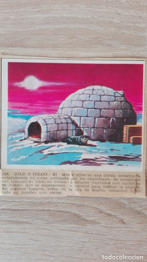 Sammeln alte Sammelbilder: CROMO N&ordm; 328 IGL&Uacute; O IGLOO-&Aacute;LBUM MAGA-A&Ntilde;O 1967-LA NATURALEZA Y EL HOMBRE.
