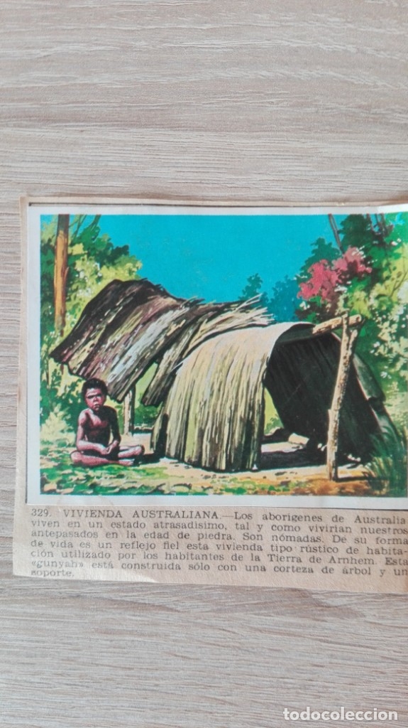 Coleccionismo cromos antiguos: CROMO N&ordm; 329 VIVIENDA AUSTRALIANA-&Aacute;LBUM MAGA-A&Ntilde;O 1967-LA NATURALEZA Y EL HOMBRE.