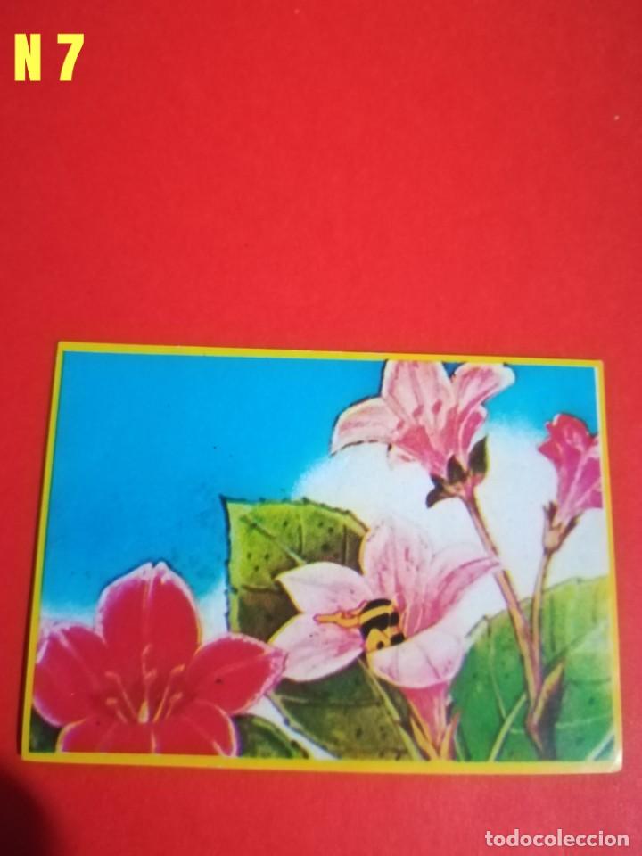Coleccionismo cromos antiguos: Cromo abeja maya n. 7, a&ntilde;o 1977 - Foto 1
