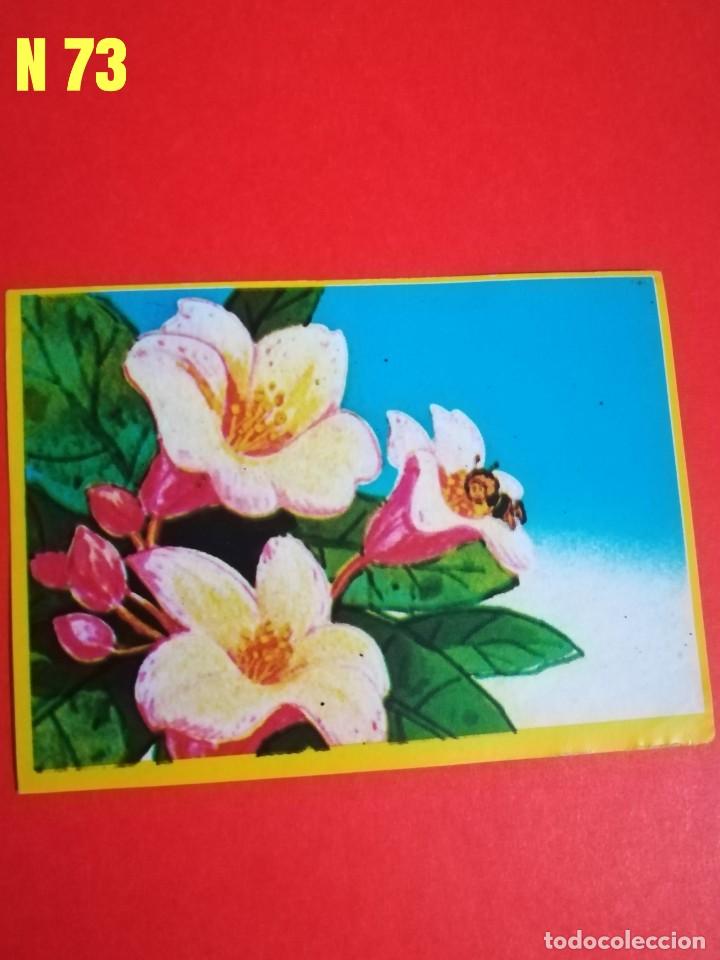 Coleccionismo cromos antiguos: Cromo abeja maya n. 73, a&ntilde;o 1977 - Foto 1