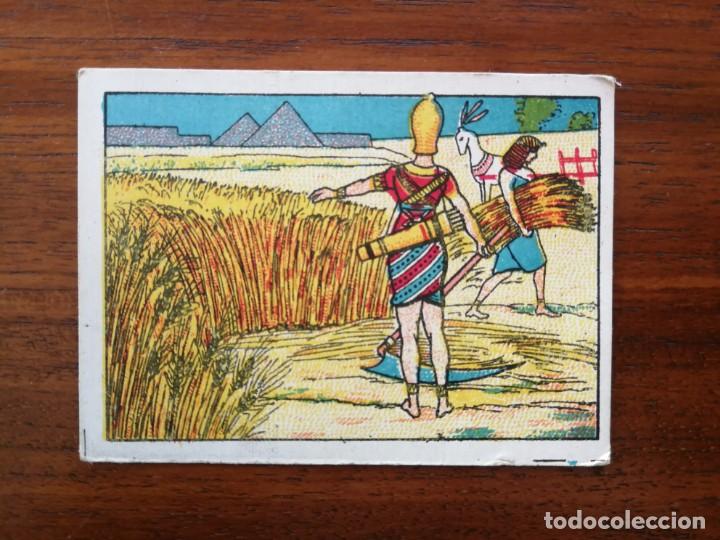 Collectionnisme Cartes &agrave; collectionner anciennes: La Justicia del Trigo - Cromo n&uacute;mero 24 ( &uacute;ltimo ) Muy buen estado