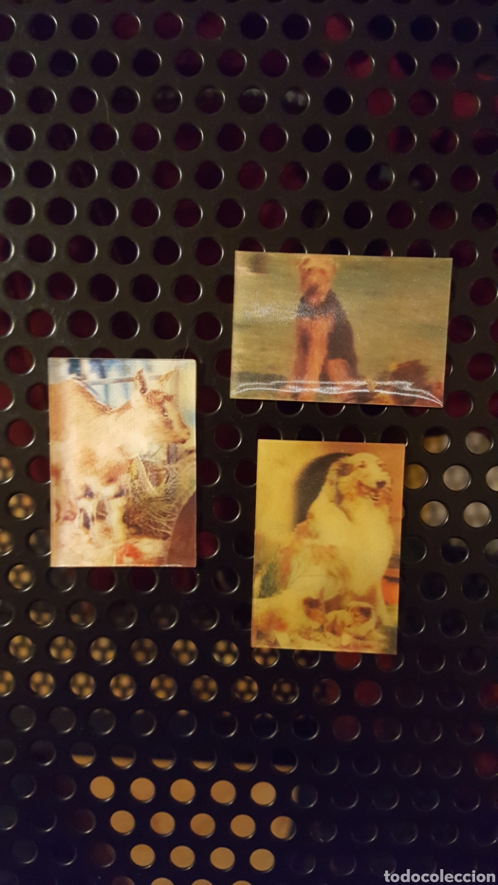 Sammeln alte Sammelbilder: Lote - El mundo de los animales en tres dimensiones - Panrico - 1975