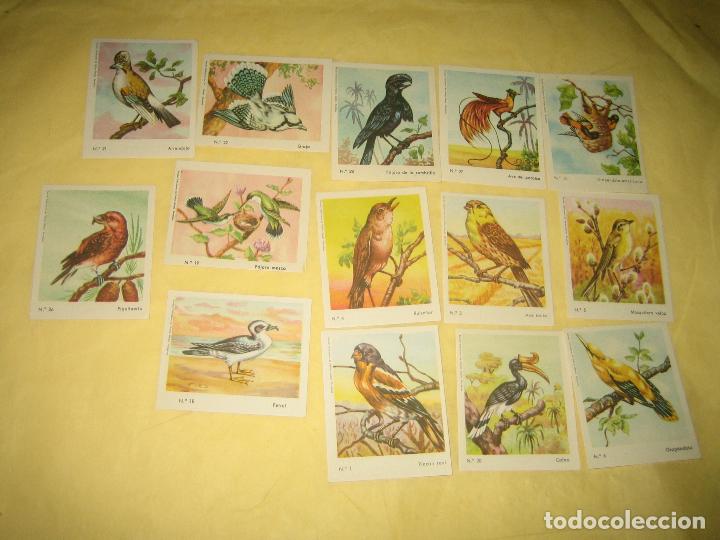 Coleccionismo cromos antiguos: COLECCION DE CROMOS AVES 14 CROMOS - Foto 1